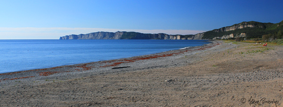 Cap-des-Rosiers, vue sur les falaises de Forillon