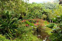 Jardin botanique à Lauraceas Lodge