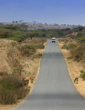 Sur la route vers Arusha