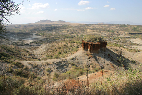 Gorges d'Olduvai