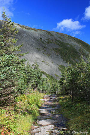 Sentier du Mont Jacques-Cartier, parc de la Gaspésie